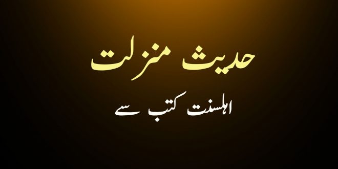 حدیث منزلت صحیح مسلم سے