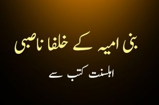 بنی امیہ کے سب خلفا ناصبی تھے - اہلیحدیث کتب سے سکین پیجز