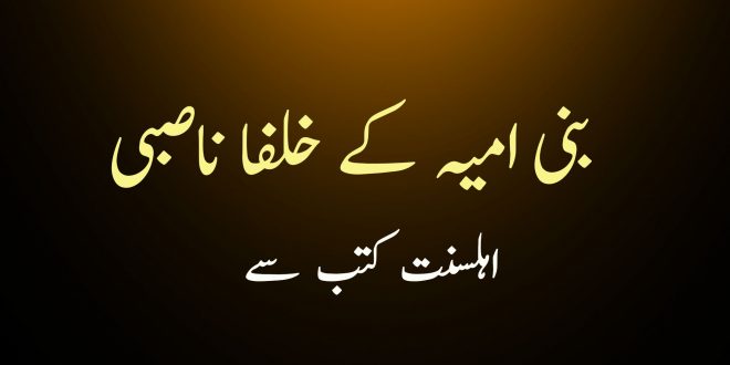 بنی امیہ کے سب خلفا ناصبی تھے - اہلیحدیث کتب سے سکین پیجز