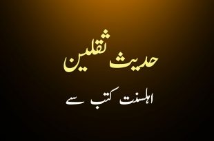 حدیث ثقلین - صحیح مسلم سے