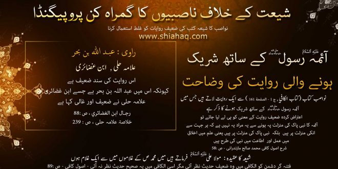 آئمہ ع رسول ص کے ساتھ شریک ہونے والی روایت کی وضاحت – رد شبہات و ناصبیت