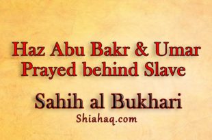 Haz Abu Bakr and Umar used to pray behind slave - Sahih al Bukhari