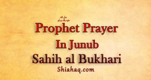 Allah’s Messenger pbuh lead Prayer in Junub - Sahih al Bukhari