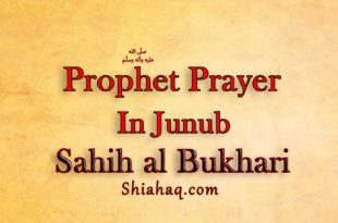 Allah’s Messenger pbuh lead Prayer in Junub - Sahih al Bukhari