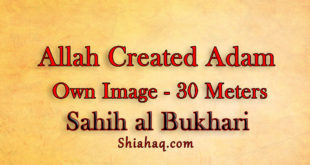 Allah created Adam in his Image of 30 Meters - Sahih al Bukhari