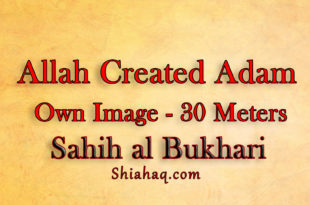 Allah created Adam in his Image of 30 Meters - Sahih al Bukhari