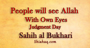 Everyone will see Allah with their own Eyes on Judgment Day – Sahih al Bukhari