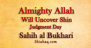 On Judgment day Allah will disguise himself uncover his Shin – Sahih al Bukhari