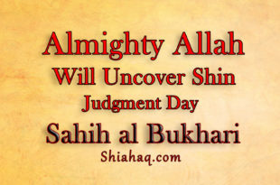 On Judgment day Allah will disguise himself uncover his Shin – Sahih al Bukhari