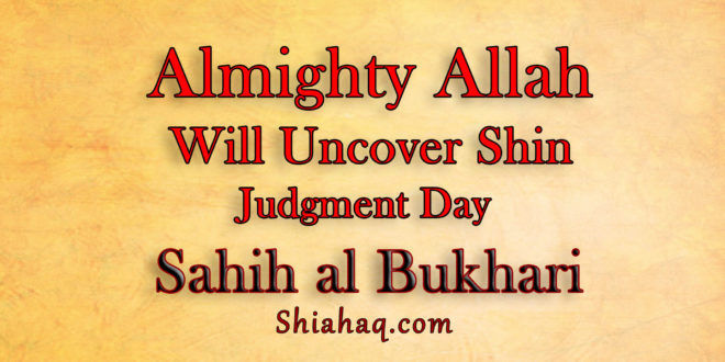 On Judgment day Allah will disguise himself uncover his Shin – Sahih al Bukhari