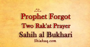 Prophet forgot Two Rak'at Prayer – Sahih al Bukhari