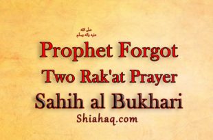 Prophet forgot Two Rak'at Prayer – Sahih al Bukhari