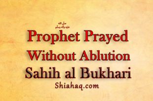 Prophet pbuh Prayed without Ablution – Sahih al Bukhari