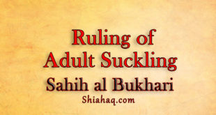 Controversial Ruling of Adult Suckling - Sahih al Bukhari