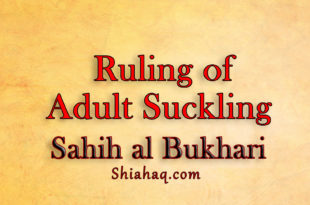 Controversial Ruling of Adult Suckling - Sahih al Bukhari