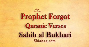 The Messenger of Allah pbuh forgot Verses of Quran - Sahih al Bukhari
