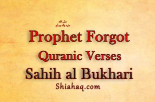 The Messenger of Allah pbuh forgot Verses of Quran - Sahih al Bukhari