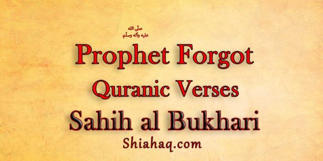 The Messenger of Allah pbuh forgot Verses of Quran - Sahih al Bukhari