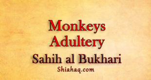 Adultery of Monkeys - Committed sin - Sahih al Bukhari
