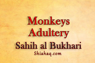 Adultery of Monkeys - Committed sin - Sahih al Bukhari