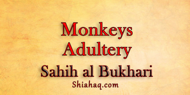 Adultery of Monkeys - Committed sin - Sahih al Bukhari