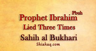 Hadith - Prophet Ibrahim pbuh did lie three times - Sahih al Bukhari