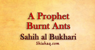 Once a Prophet burnt Ants - Sahih al Bukhari