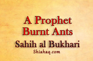 Once a Prophet burnt Ants - Sahih al Bukhari