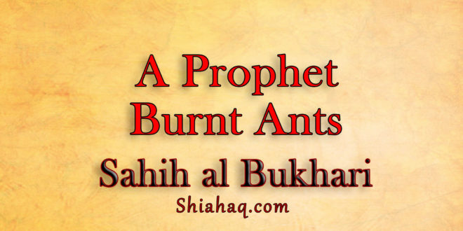 Once a Prophet burnt Ants - Sahih al Bukhari