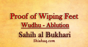 Proof of Wiping of Feet in Wudhu - Ablution - Sahih al Bukhari