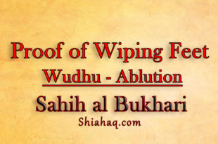 Proof of Wiping of Feet in Wudhu - Ablution - Sahih al Bukhari