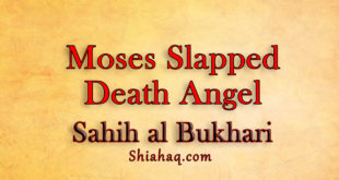 Prophet Moses slapped Death Angel and spoiled his eye - Sahih al Bukhari