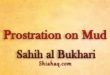 Prophet pbuh Prostrated on Mud - Sahih al Bukhari