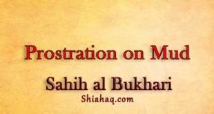 Prophet pbuh Prostrated on Mud - Sahih al Bukhari