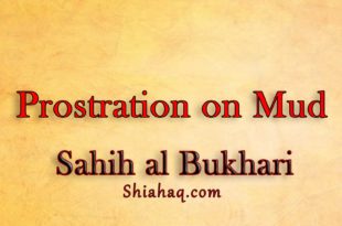 Prophet pbuh Prostrated on Mud - Sahih al Bukhari