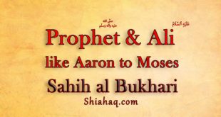 Hadith - Ali and me Like Aaron to Moses - Sahih al Bukhari