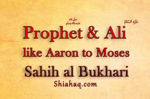 Hadith - Ali and me Like Aaron to Moses - Sahih al Bukhari