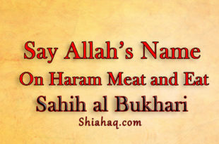 Say Allah Name on Haram Meat and eat -Sahih al Bukhari