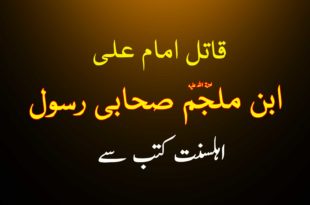 قاتل امام علی - ابن ملجم صحابی رسول - اہلسنت کتب سے