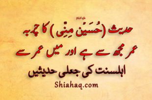 حدیث حُسَيْنٌ مِنِّی کا چربہ عمر مجھ سے ہے اور میں عمر سے - اہلسنت کی جعلی حدیثیں