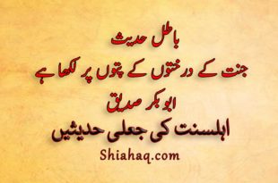 باطل حدیث - جنت کے درختوں کے پتوں پر لکھا ہے - ابو بکر صدیق - اہلسنت کی جعلی حدیثیں