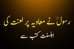 رسول ص نے معاویہ و ابوسفیان پر لعنت کی - اہلیسنت کتب سے سکین پیجز