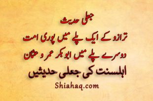 جعلی حدیث - ترازو کے ایک پلے میں پوری امت دوسرے پلے میں ابو بکر عمر و عثمان - اہلسنت کی جعلی حدیثیں