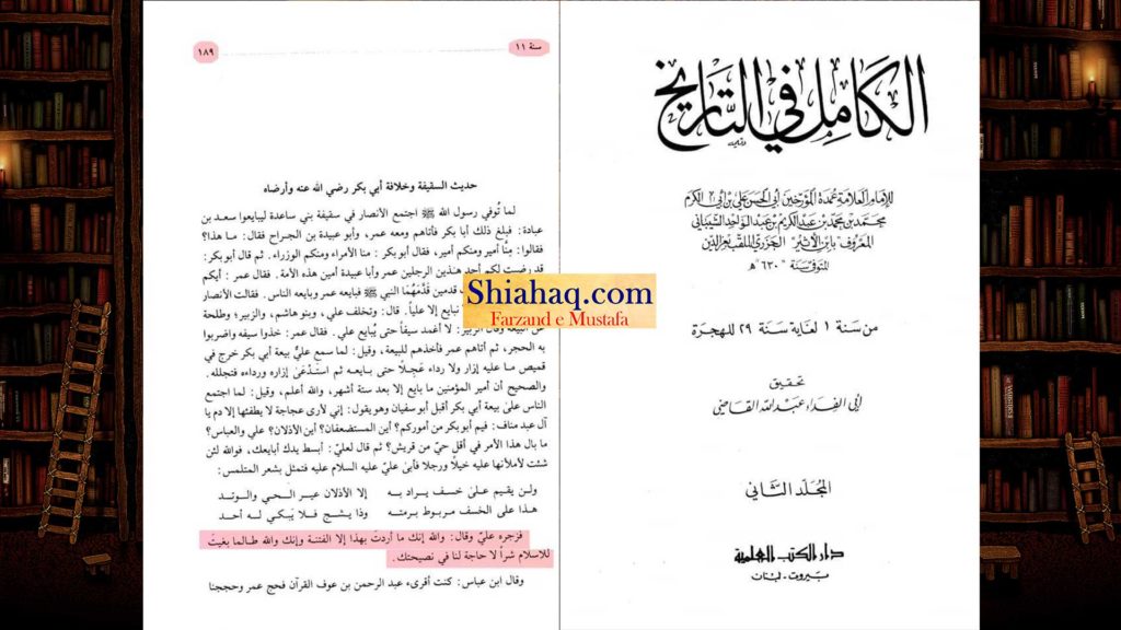 نھج البلاغه - ناصبی اعتراض – کیا مولا علی ع خلافت کے طلبگار نہیں تھے - رد شبہات و ناصبیت