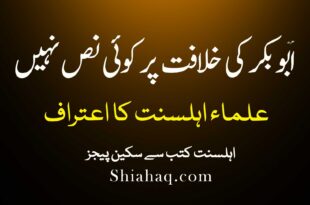 حضرت ابوبکر کی خلافت پر کوئی نص نہیں – علماء اہلسنت کا اعتراف