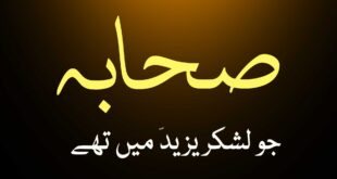 وہ صحابہ جو لشکر یزید میں تھے - اہلسنت کتب سے سکین پیجز