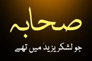 وہ صحابہ جو لشکر یزید میں تھے - اہلسنت کتب سے سکین پیجز