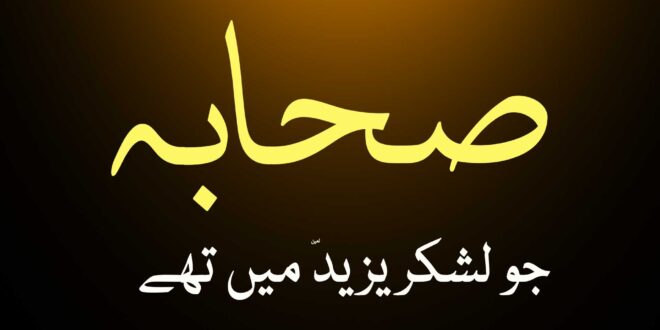 وہ صحابہ جو لشکر یزید میں تھے - اہلسنت کتب سے سکین پیجز